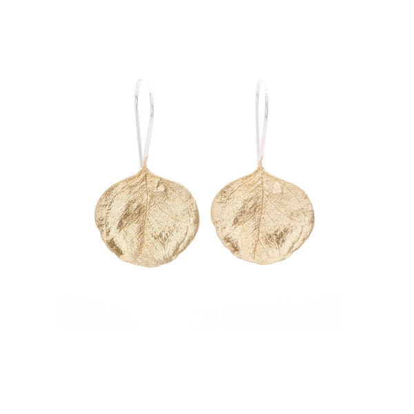 Abby Seymour — Silver Gum Hook Earrings in Brass - Australian made Jewellery 