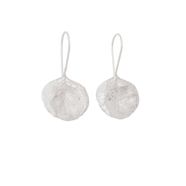 Abby Seymour — Silver Gum Hook Earrings in Sterling Silver - Australian made Jewellery 