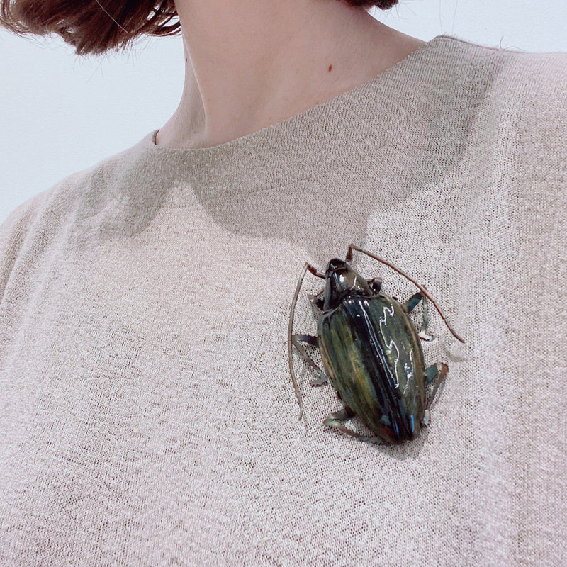Samantha Dennis — Coleoptera Green/Yellow Beetle Brooch - Australian made Jewellery 