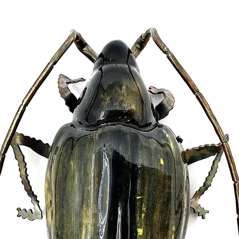Samantha Dennis — Coleoptera Green/Yellow Beetle Brooch - Australian made Jewellery 